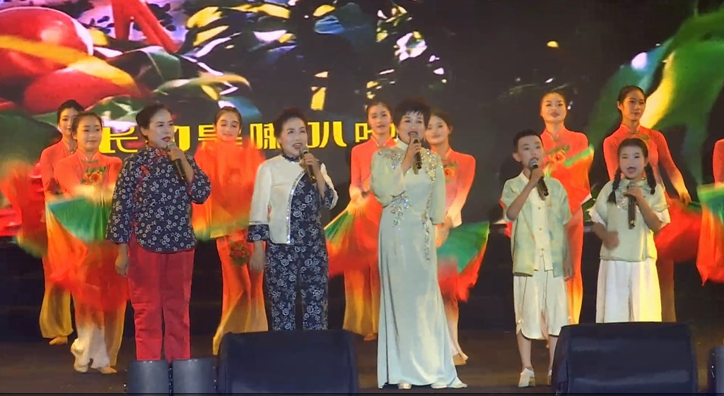 荆楚“红色文艺轻骑兵”惠民演出走进古城荆州